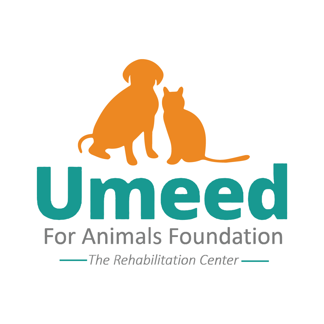 Make An Impact - Umeed For Animals Foundation